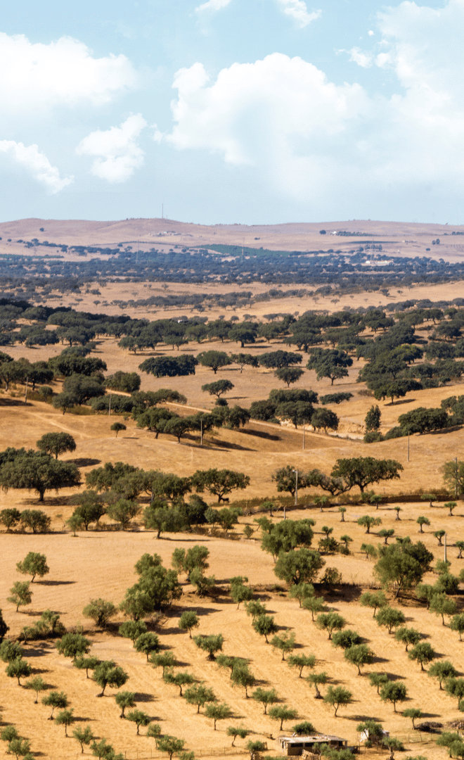 Le Parc Naturel de Noudar