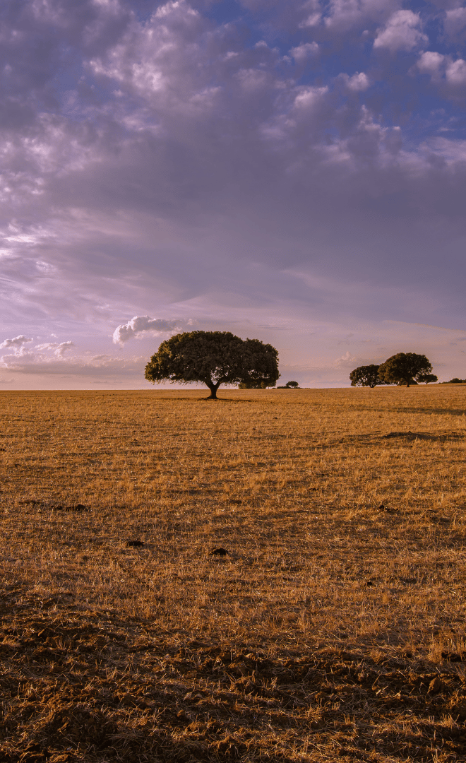 L'Alentejo et l'environnement