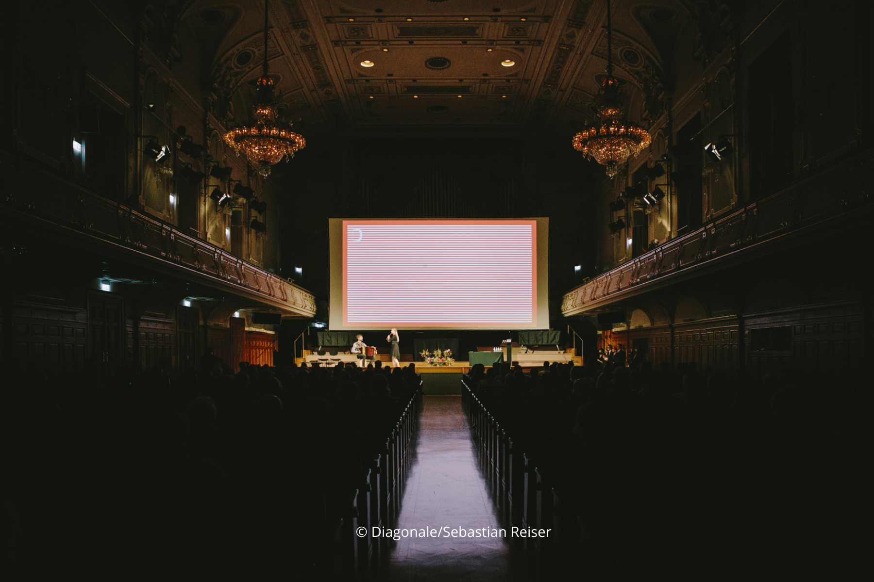Le Festival de Diagonale