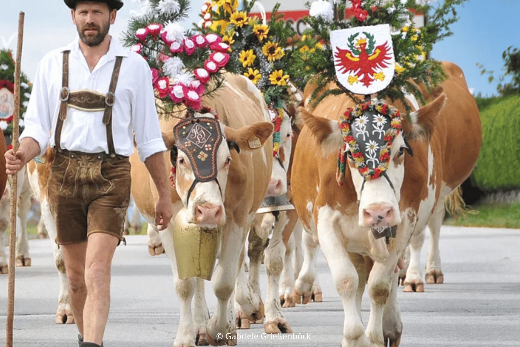 Le fêtes de la transhumance