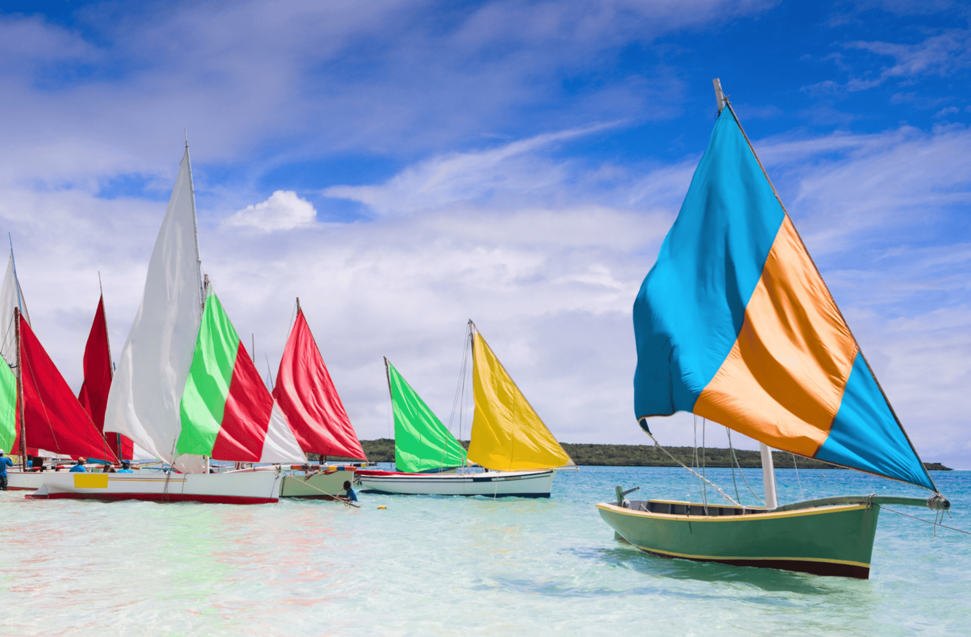 Regatta