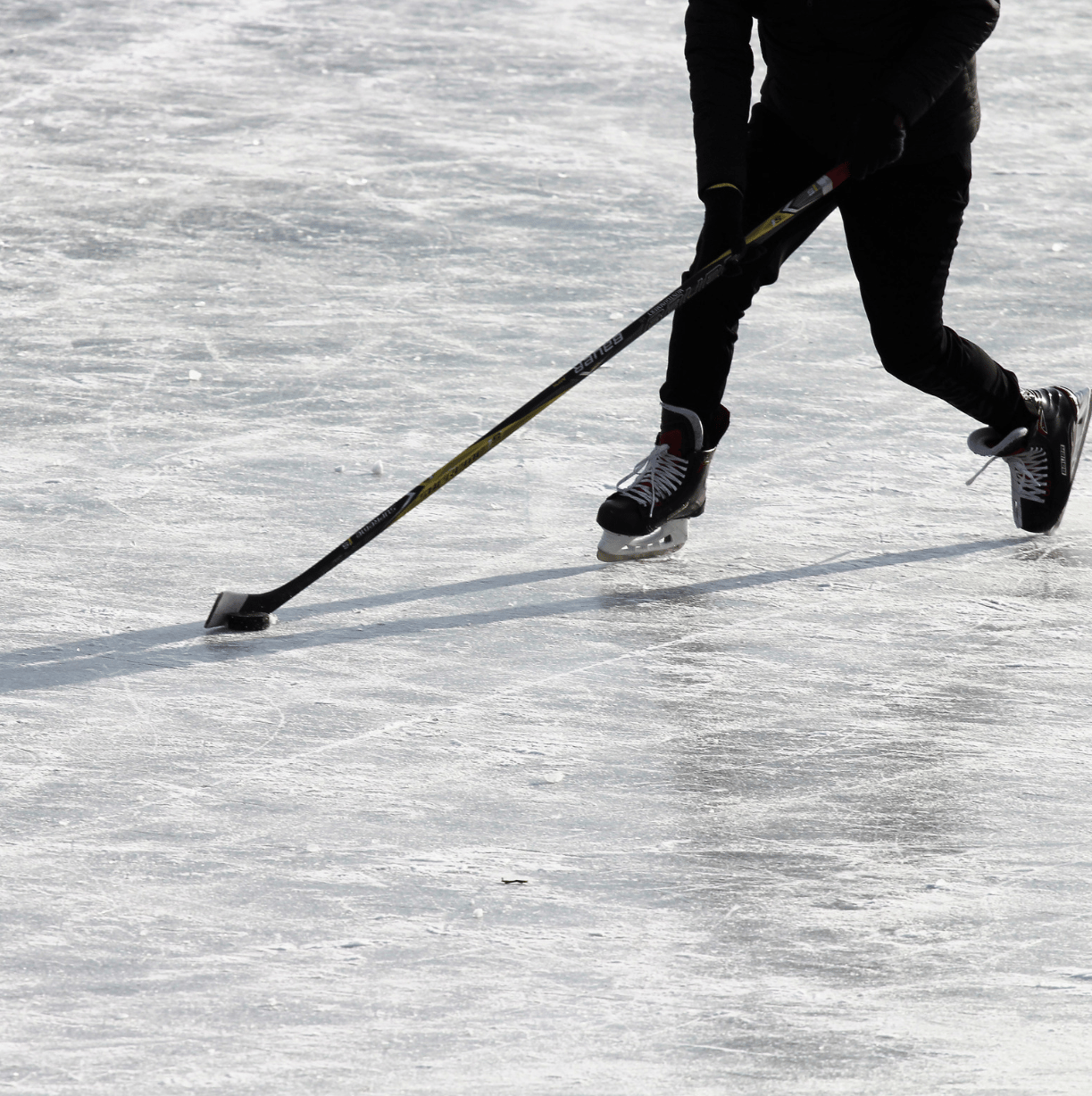 Les évènements à ne pas manquer : Aller voir un match de hockey des Sénateurs d’Ottawa