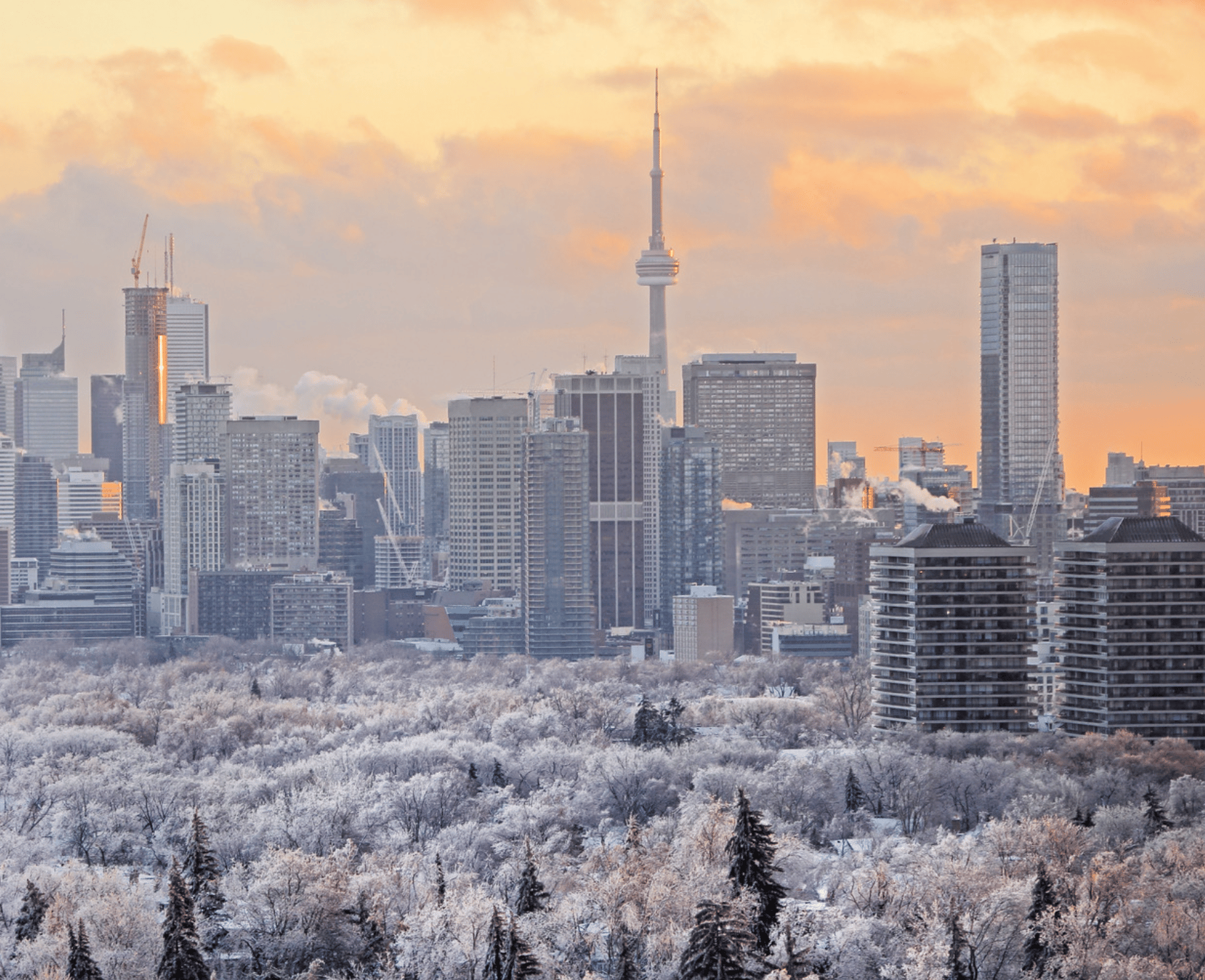 Toronto et l'environnement