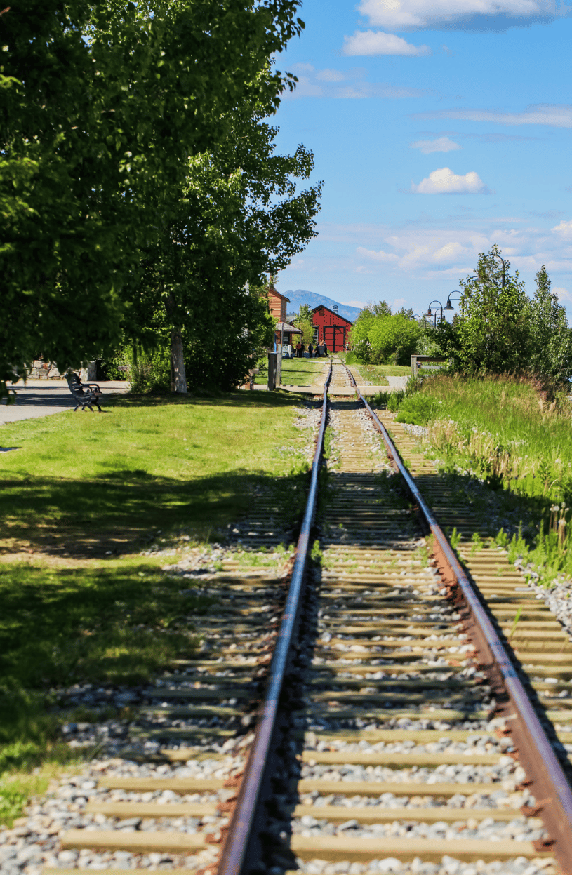 Whitehorse et l'environnement