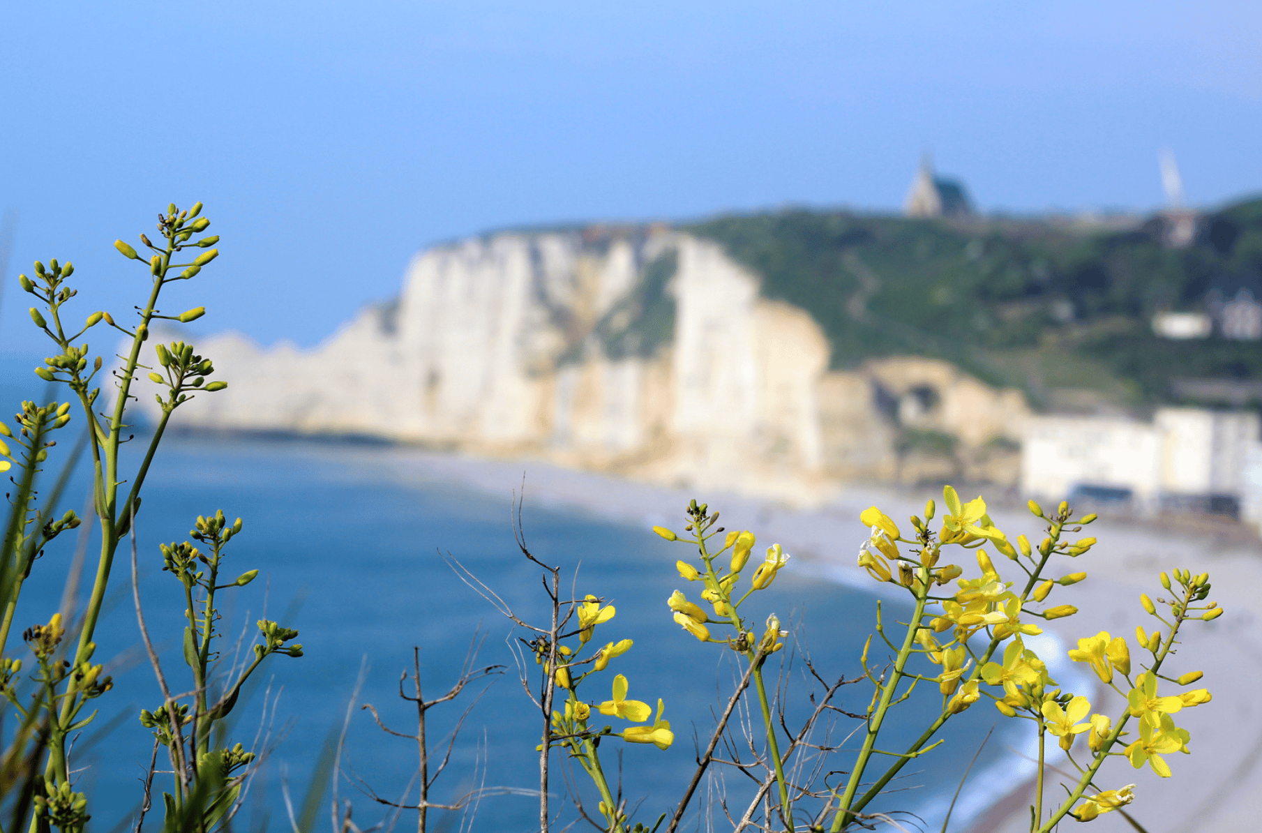 Normandie et l'environnement