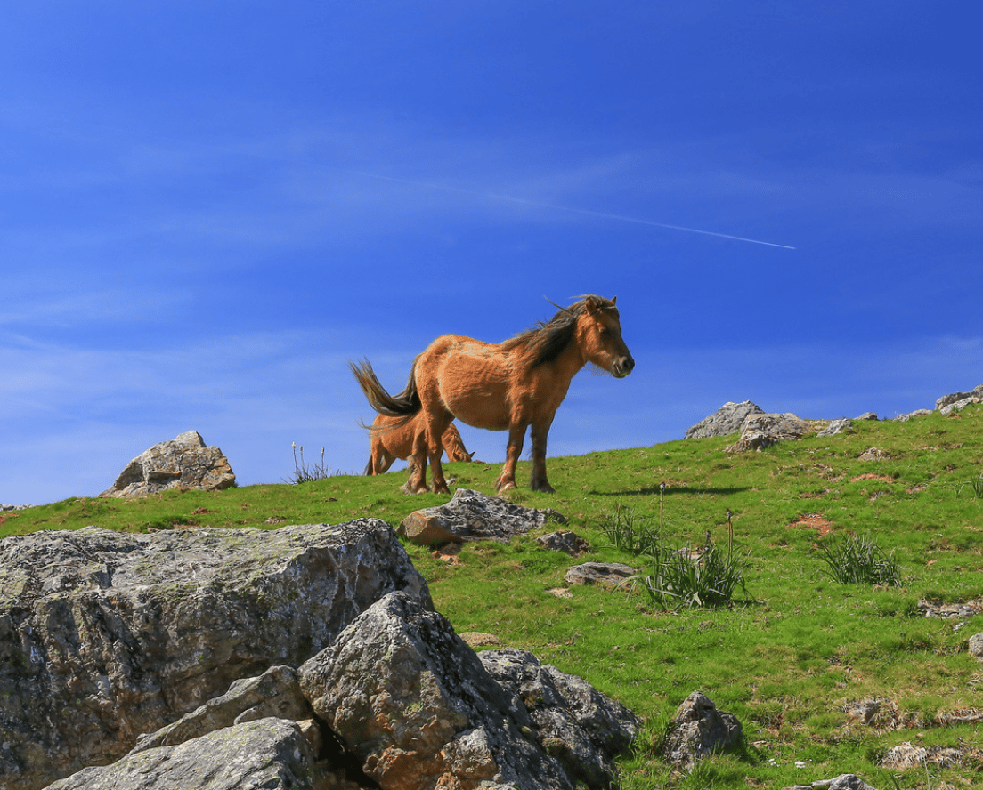 Pays Basque et l'environnement