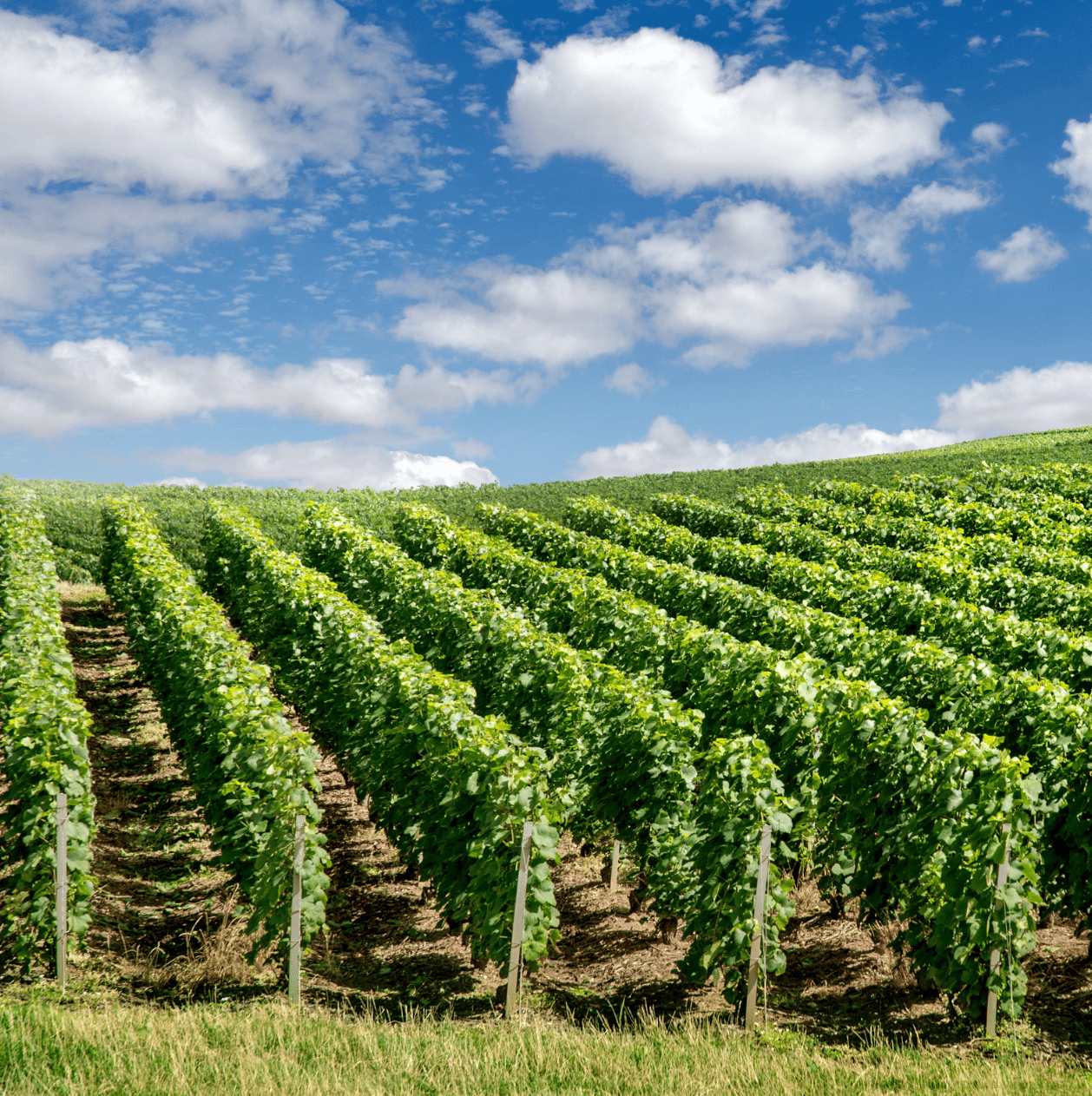 La France et l'environnement