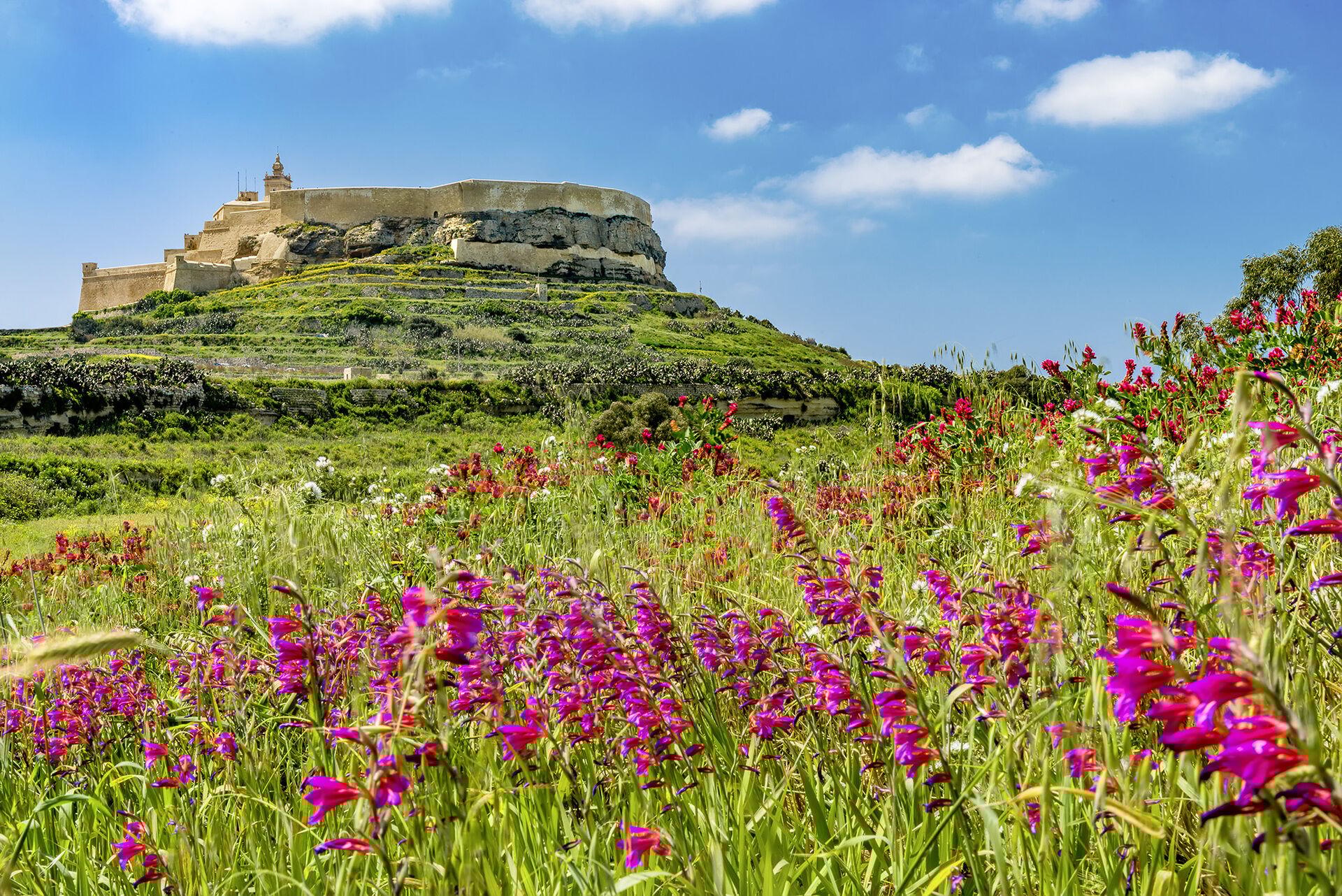 Gozo et l'environnement