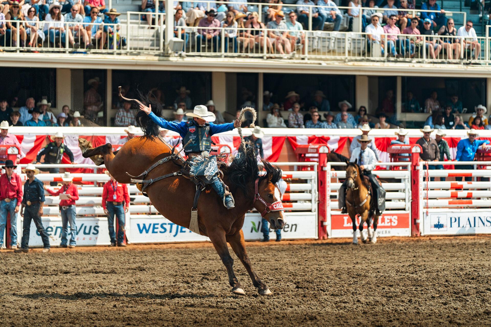 Les évènements à ne pas manquer : Le Stampede de Calgary