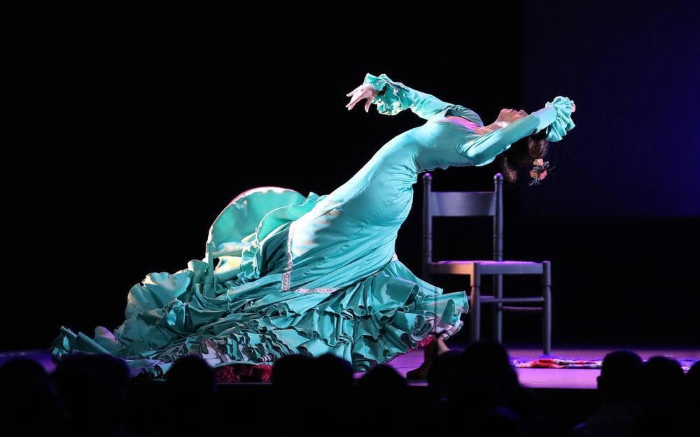 Festival de Flamenco de Mont-de-Marsan