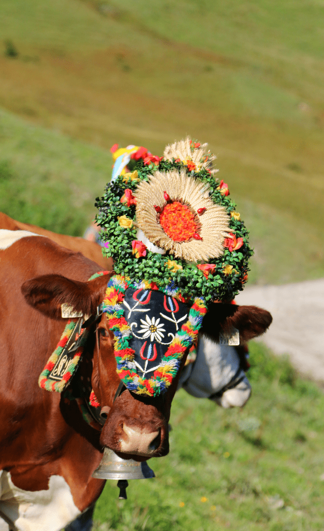La fête de la Transhumance