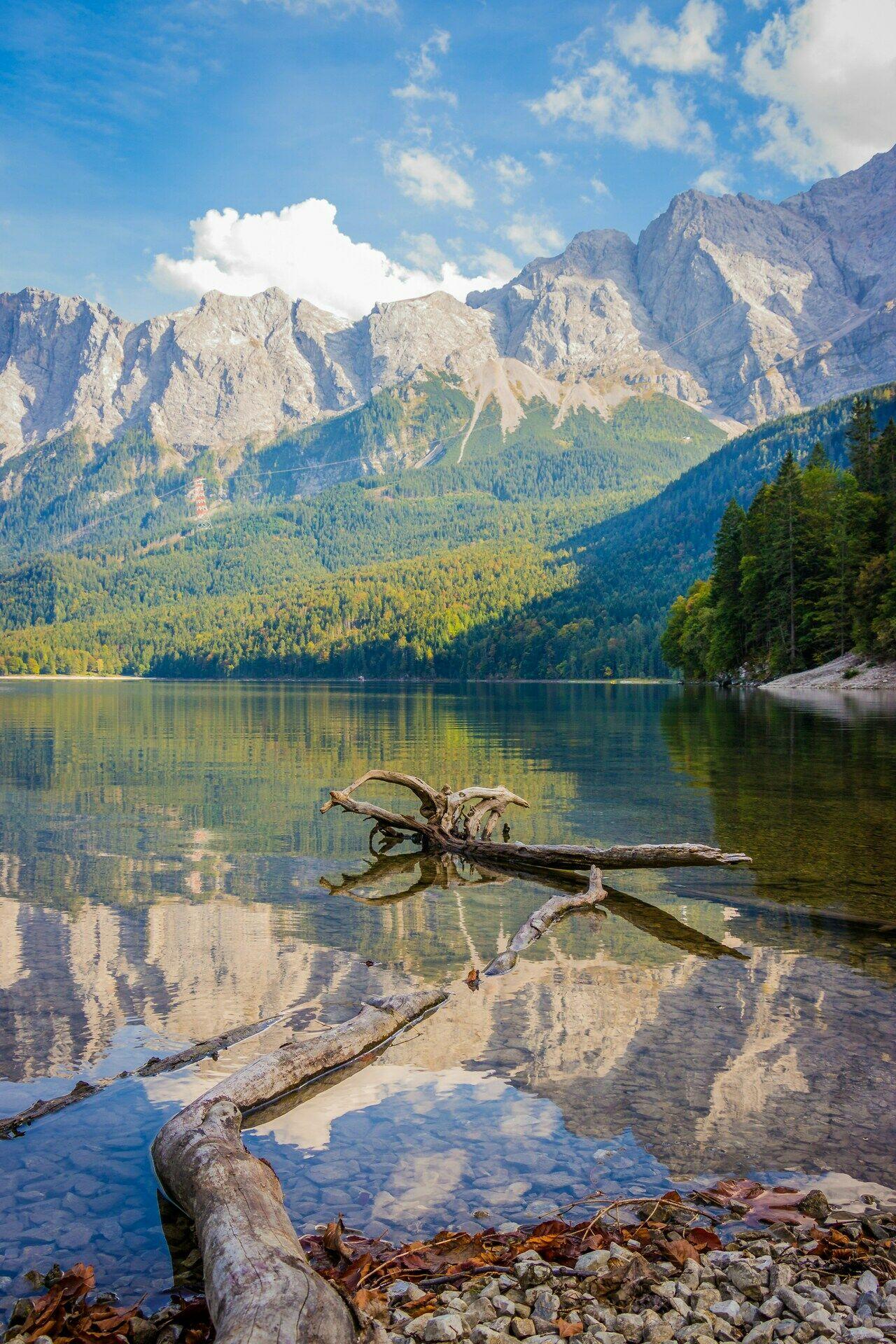 Le Bavière et l'environnement