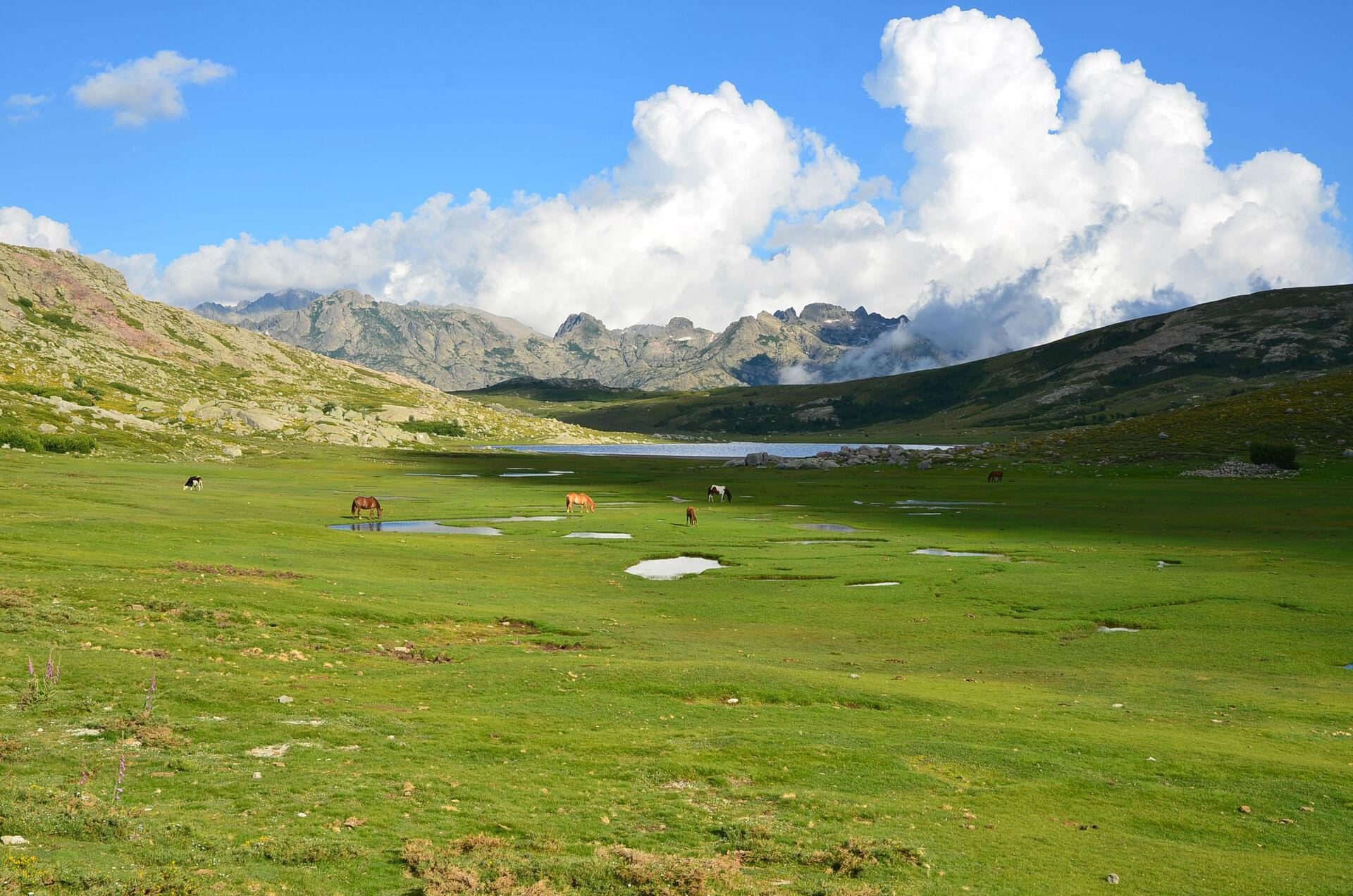 Corse et l'environnement
