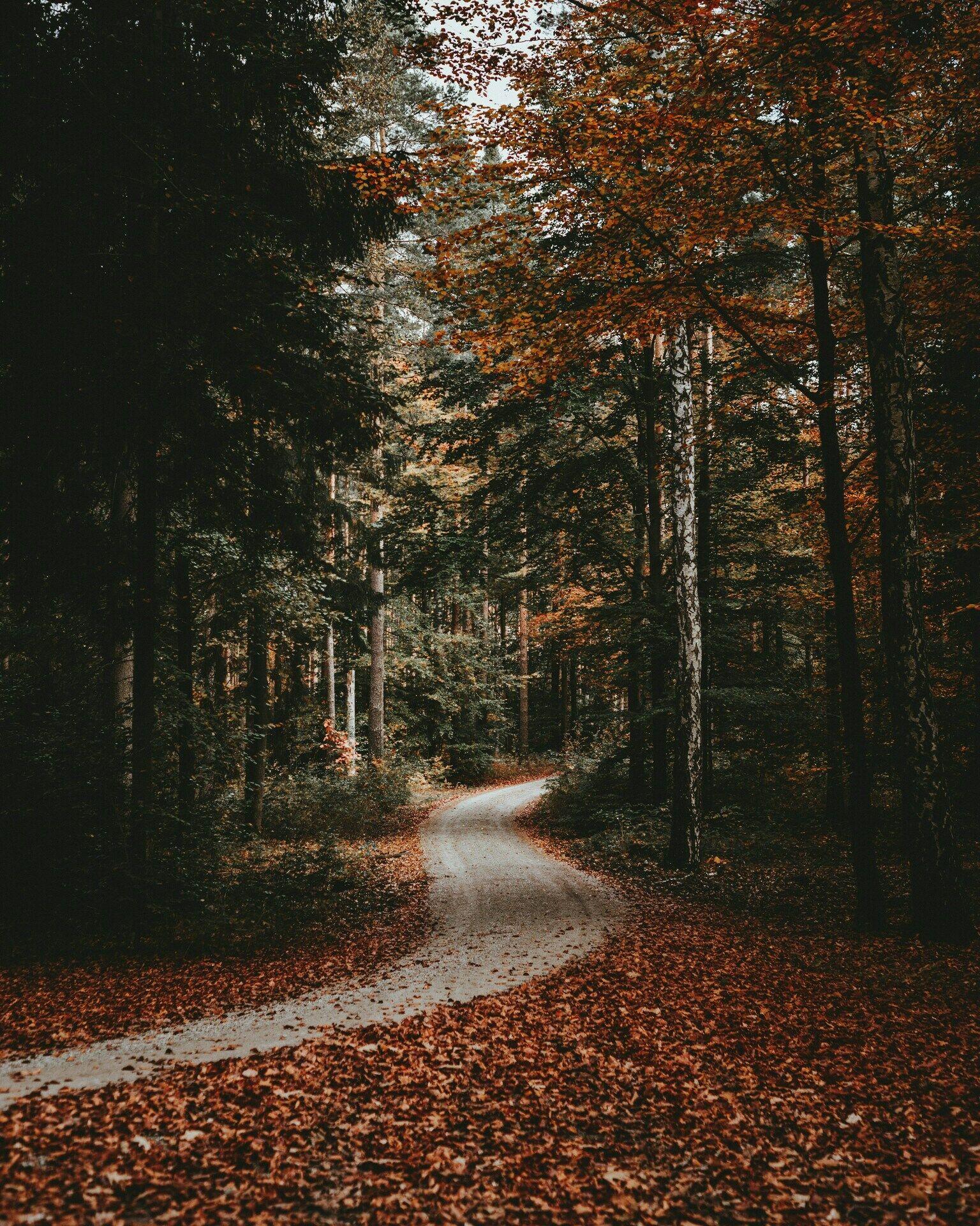 Le Dresde et l'environnement