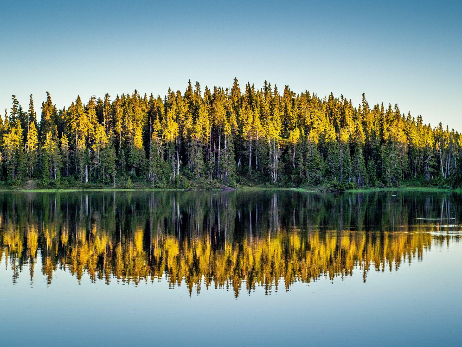 La Laponie Finlandaise et l'environnement