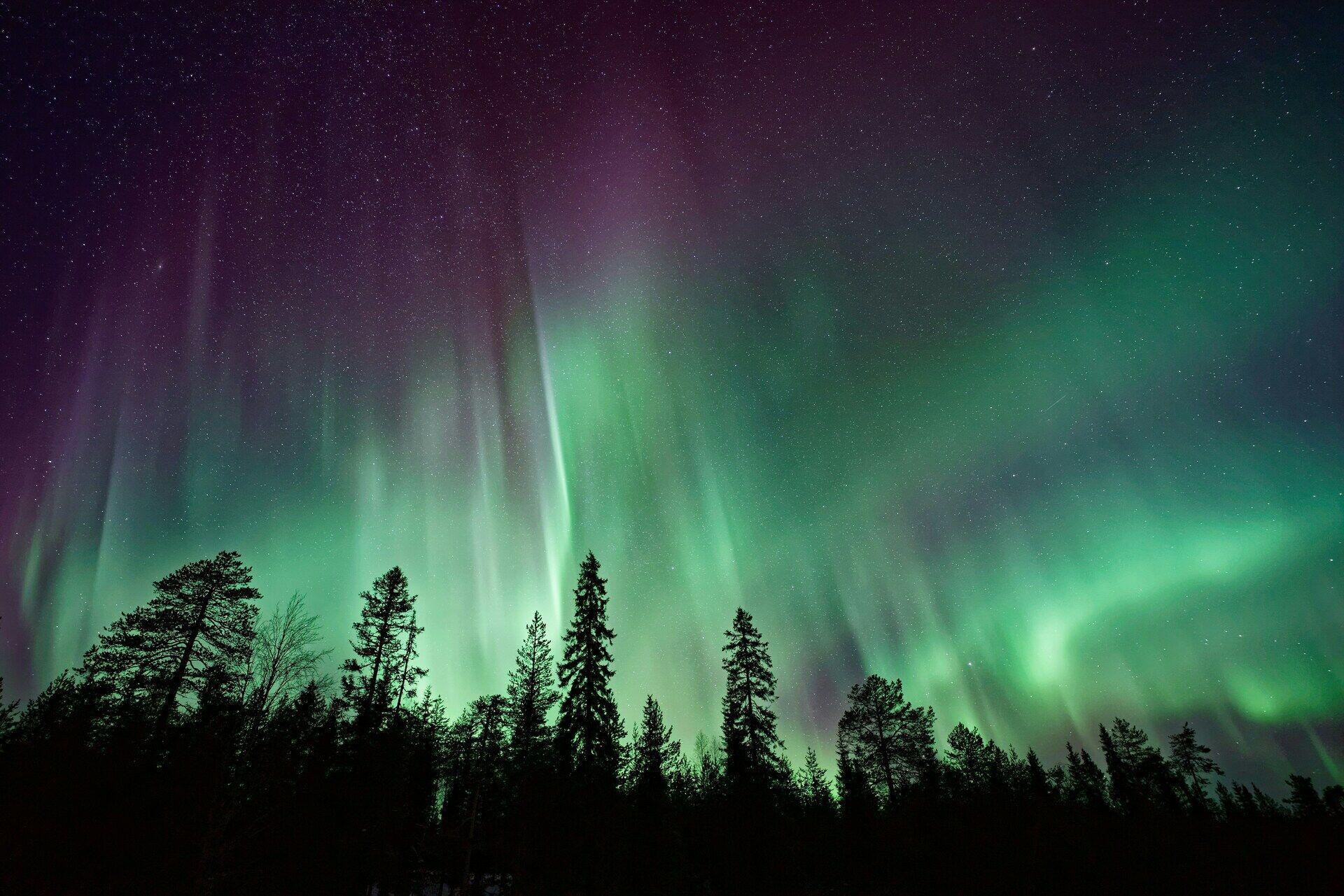 Aurora Borealis Week
