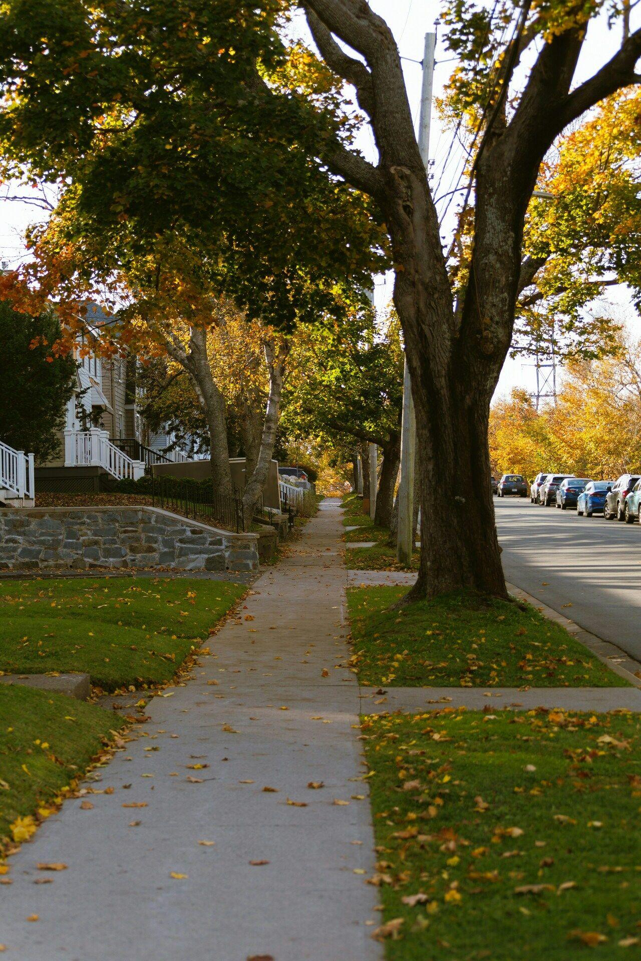 Halifax et l’environnement