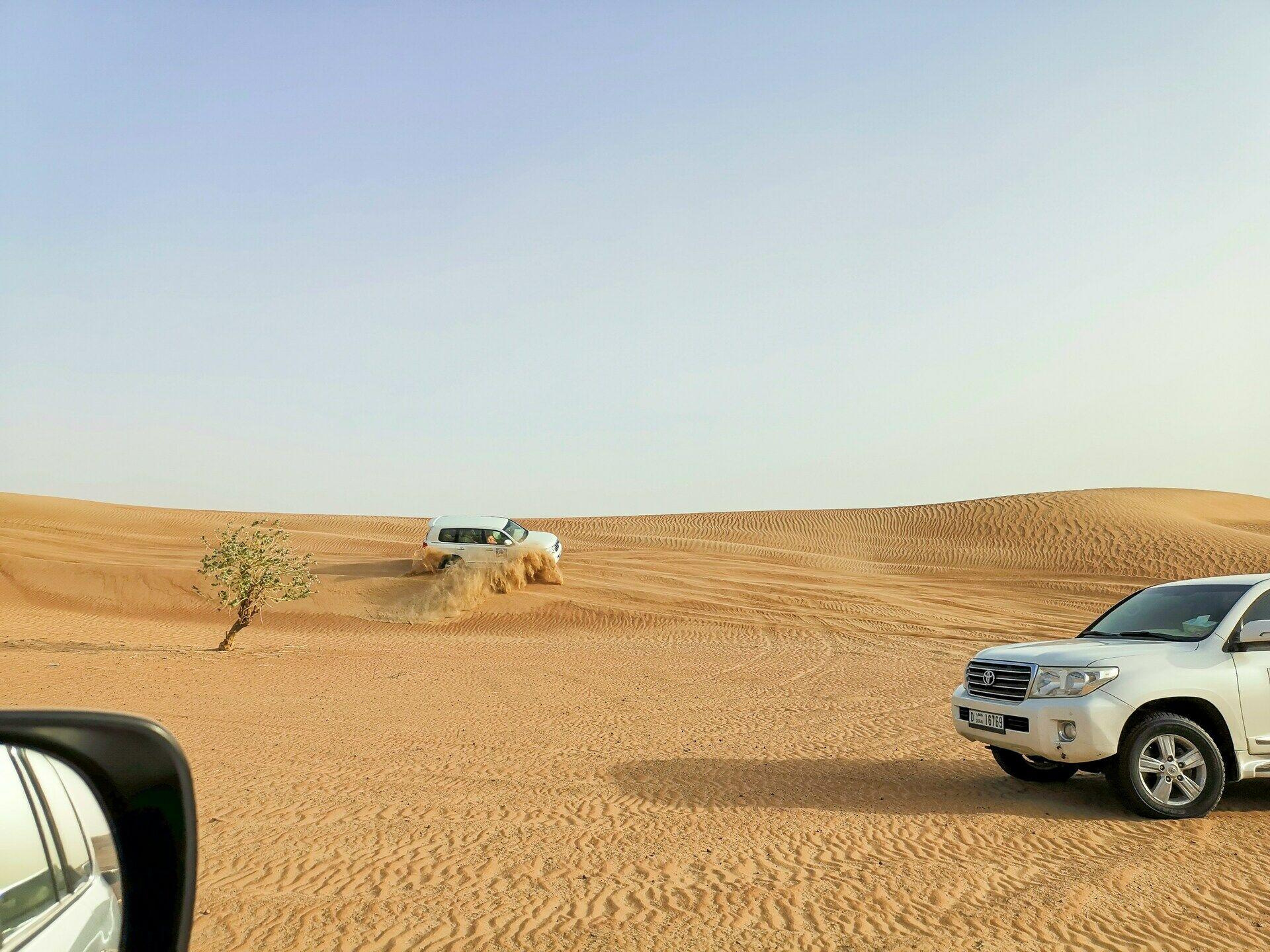 Le Rallye tout terrain