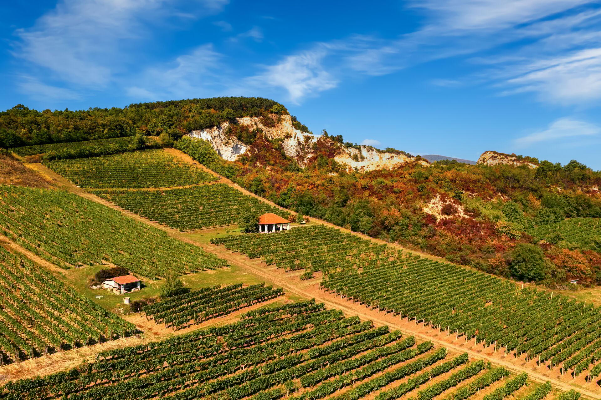 Tokaj