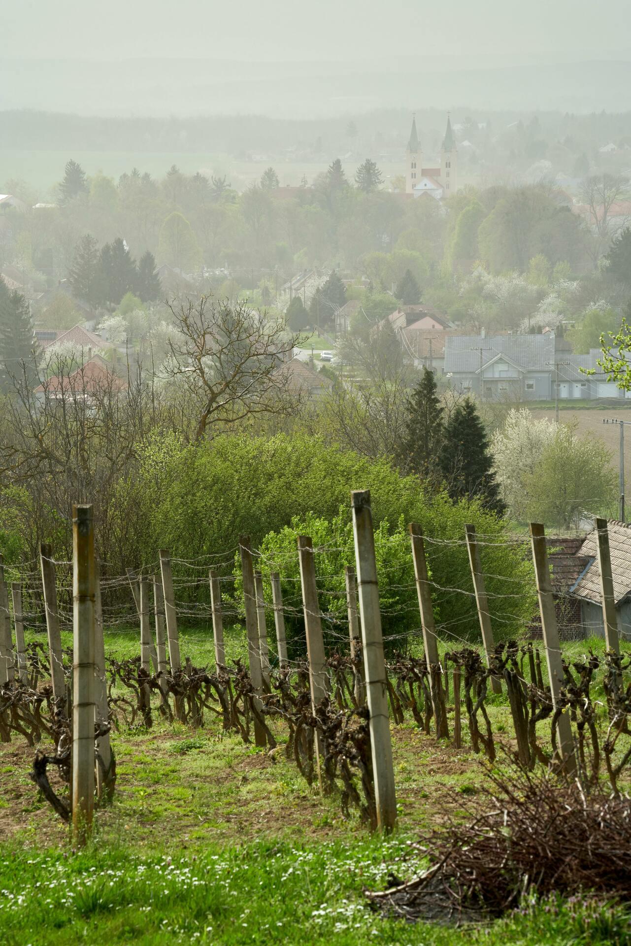 La région d’Etyek