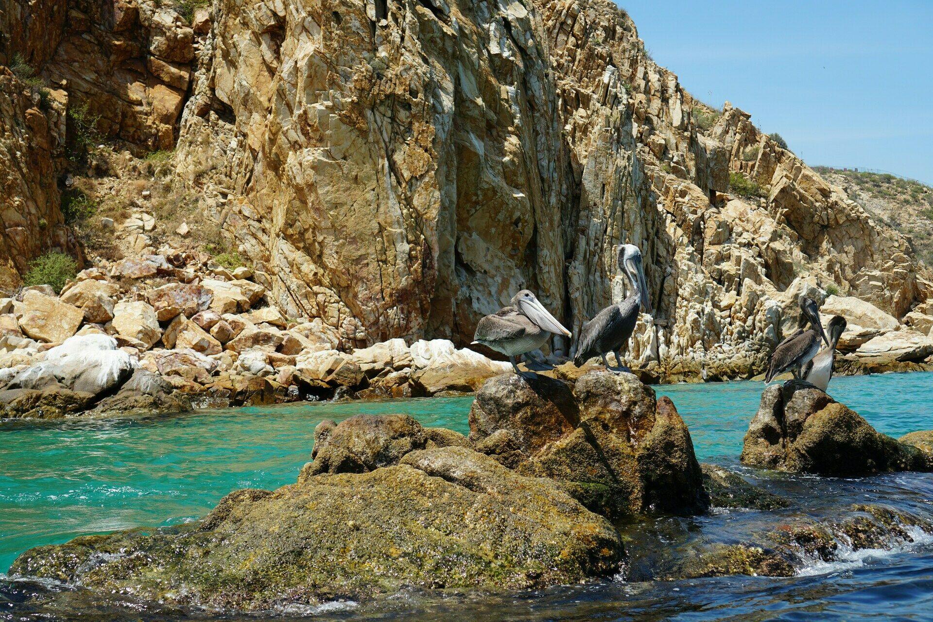 Los Cabos et l'environnement