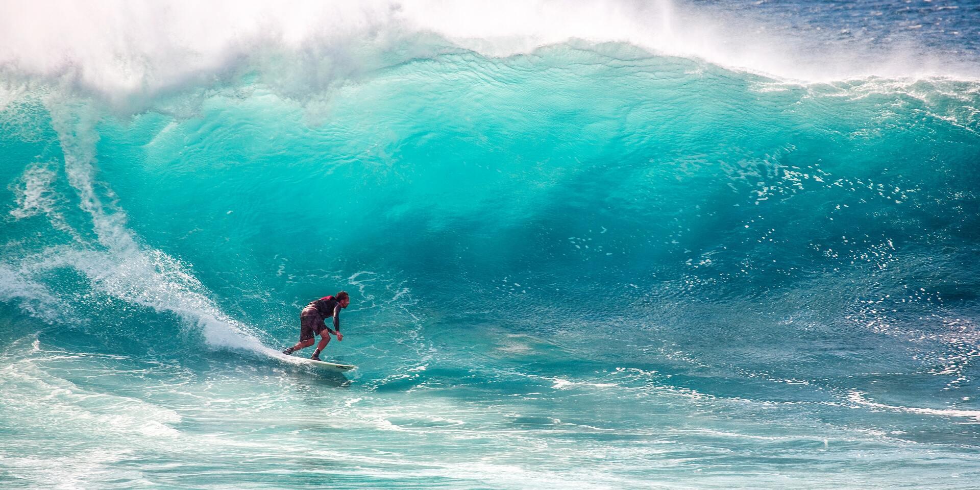 Les évènements à ne pas manquer: L’Open de surf de Los Cabos