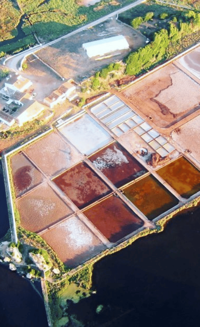 Hors des sentiers battues à Minorque : Les salines de Fornells