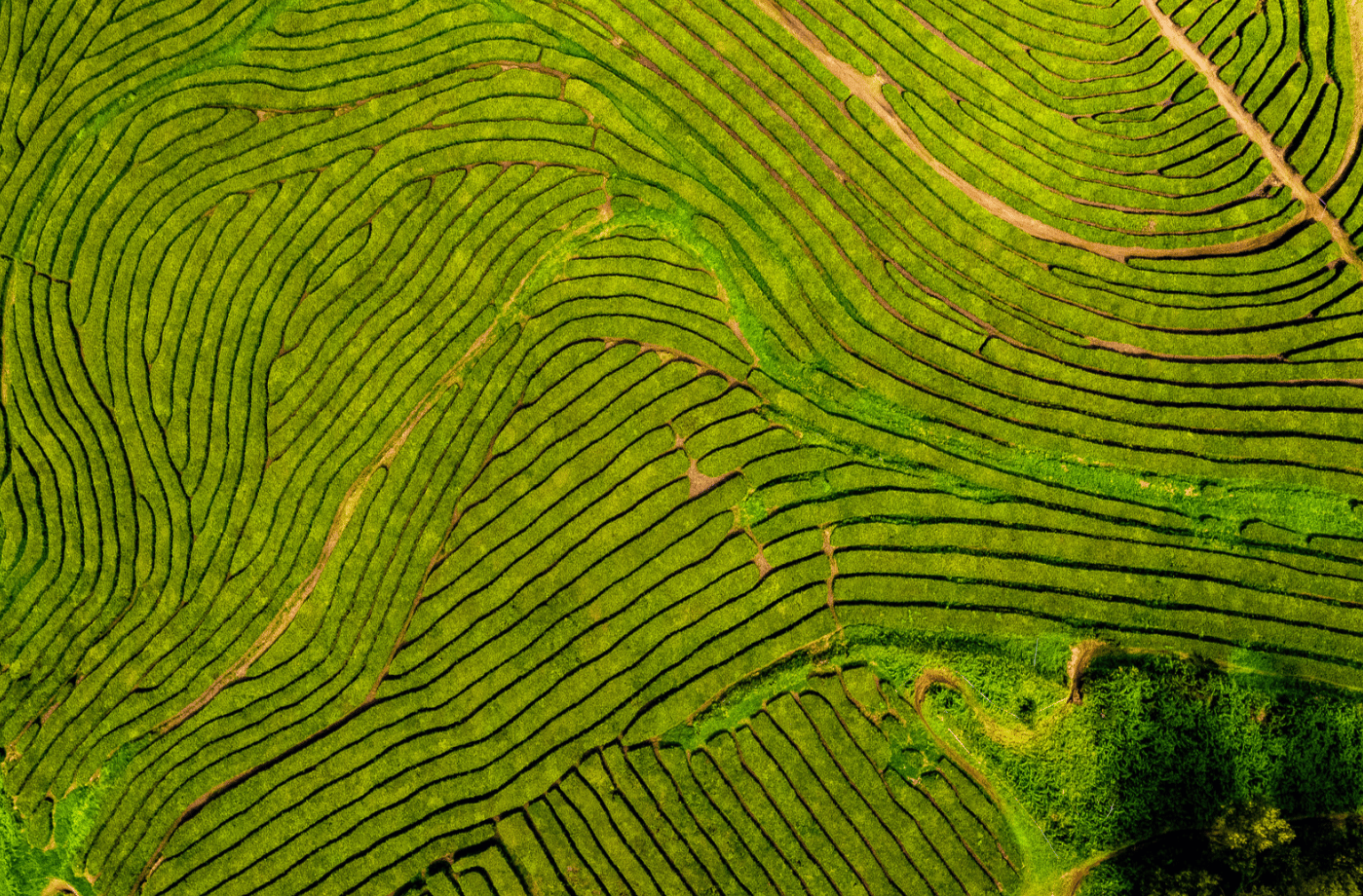 Les Açores et l'environnement