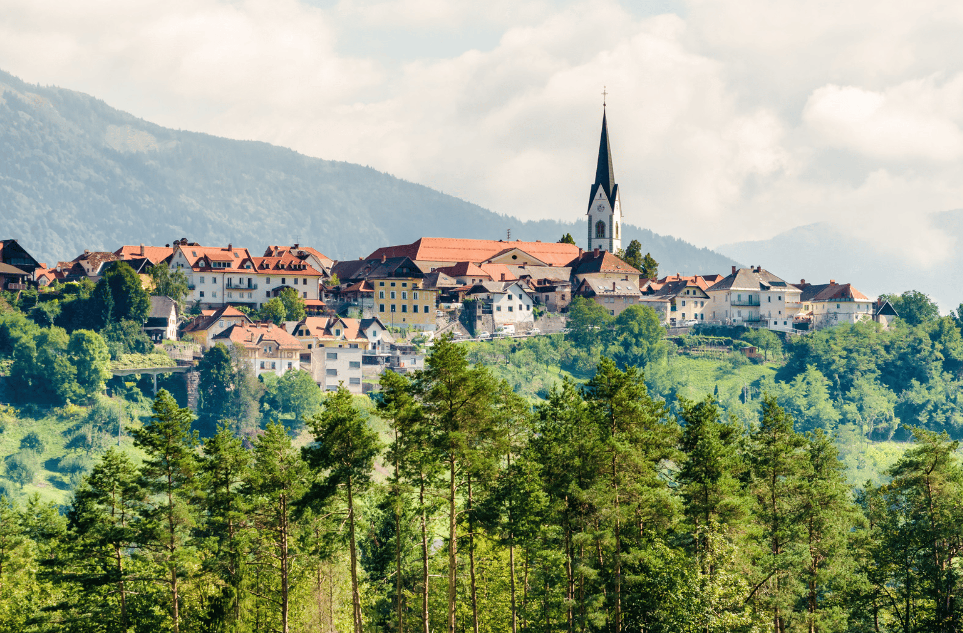 Le festival de Radovljica