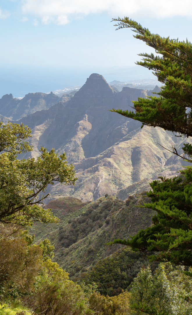 Tenerife et l'environnement