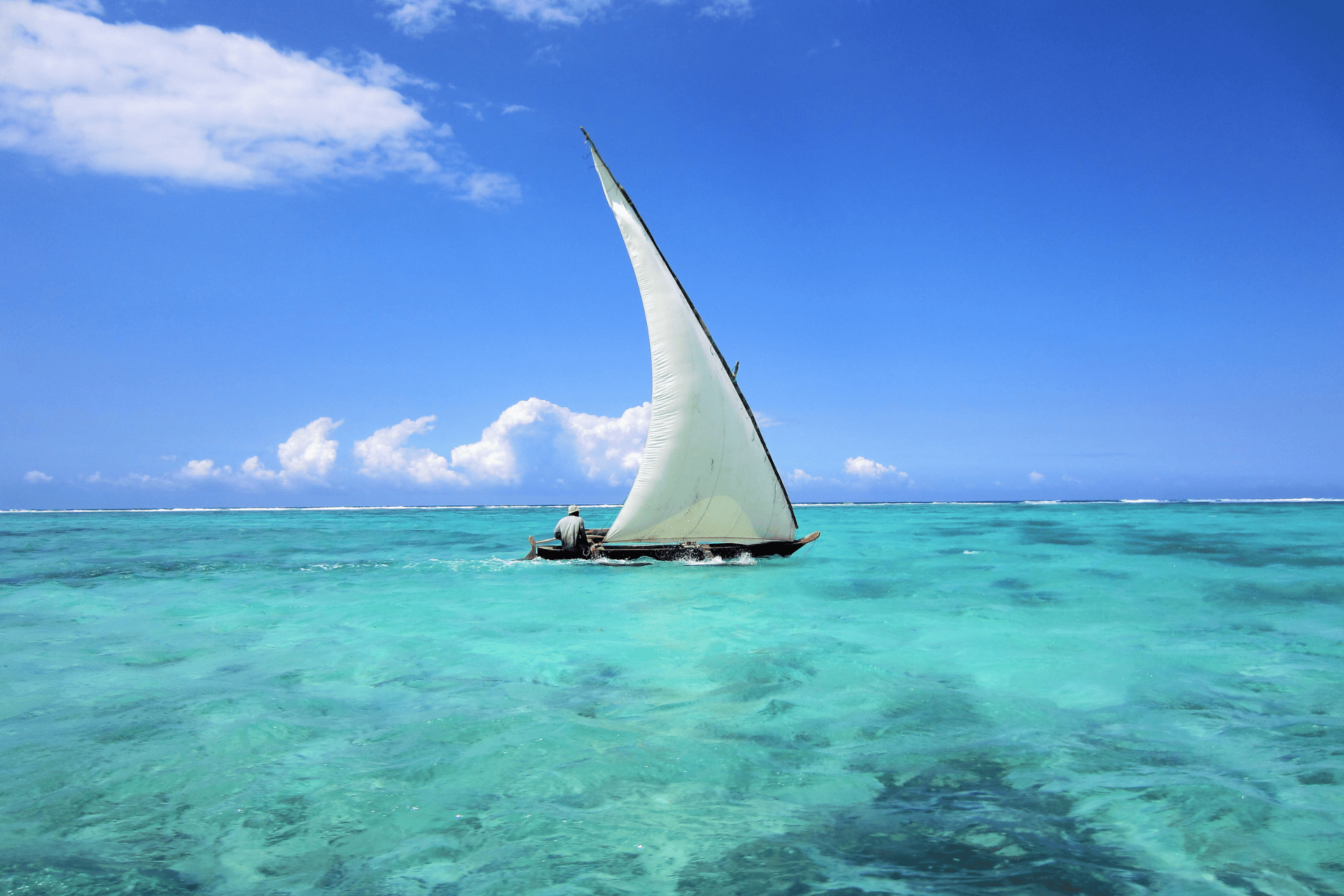 Al Gaffal Dhow Race