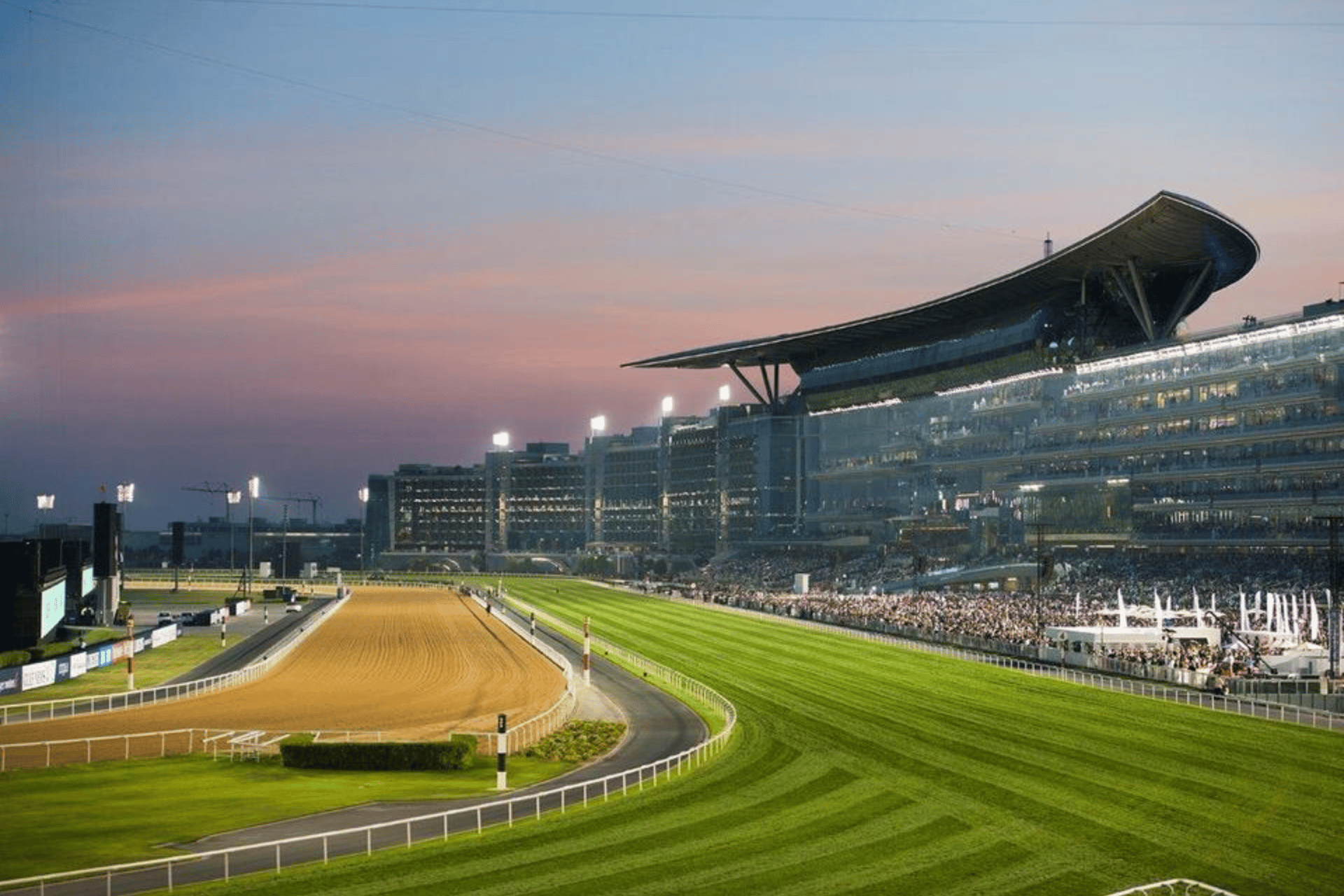haras de Meydan