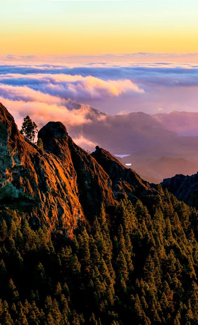Gran Canaria et l'environnement