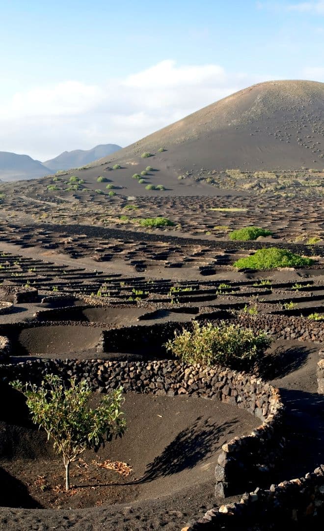 La Geria
