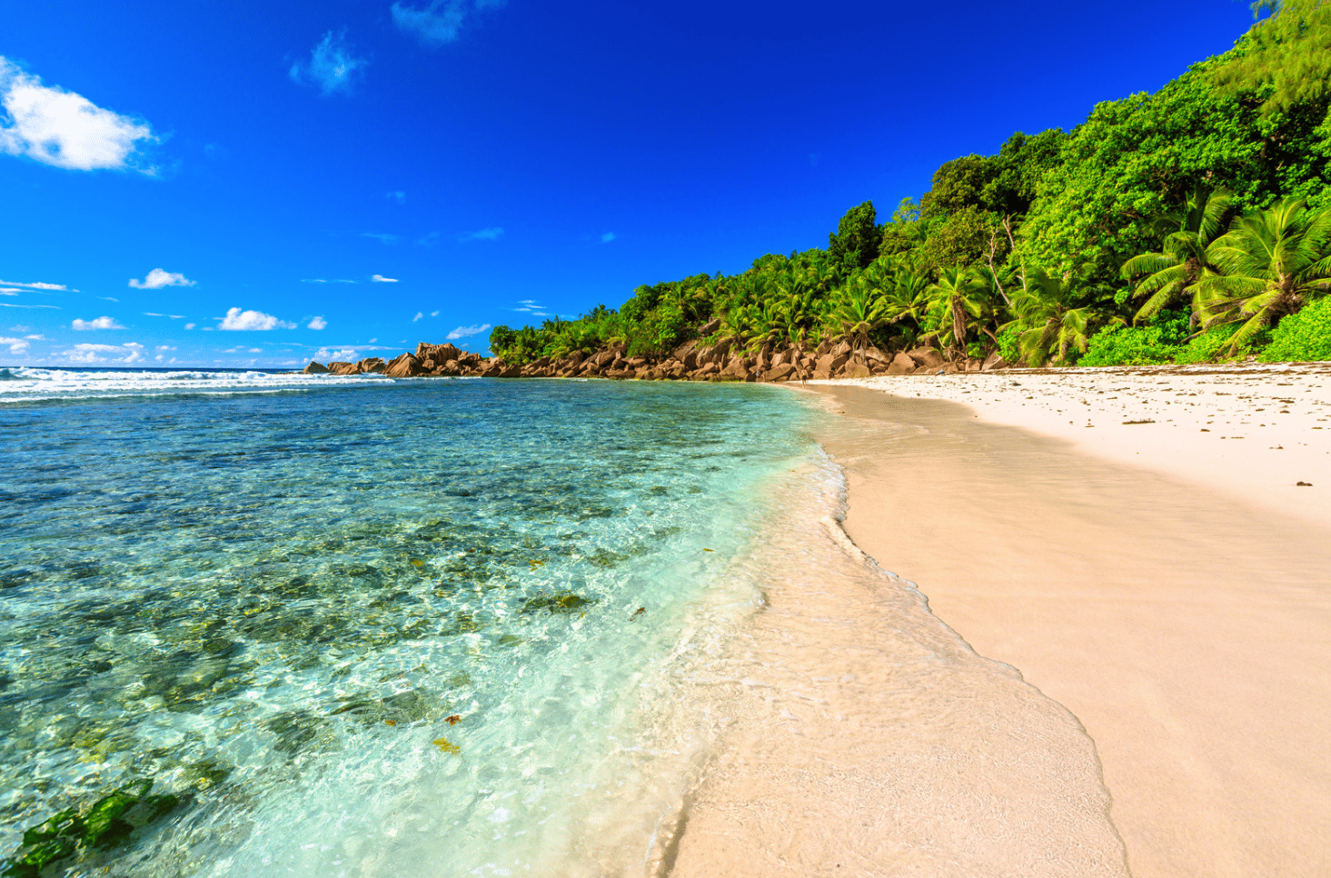 La Digue et l'environnement