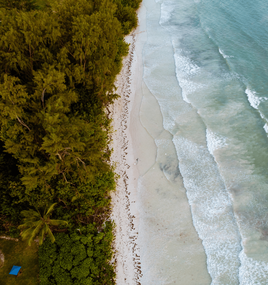 Praslin et l'environnement