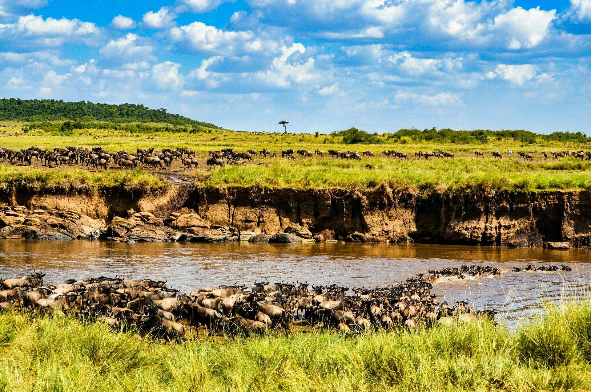 Jour 3 Parc National du Tarangire - Karatu