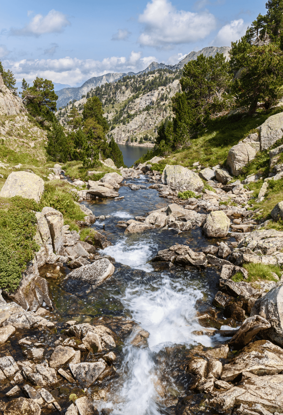 Pyrénées de Catalogne et l'environnement
