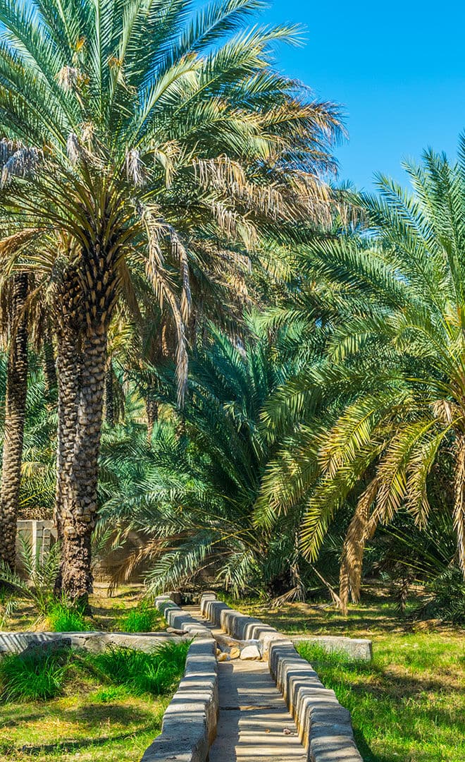 Abu Dhabi et l'environnement