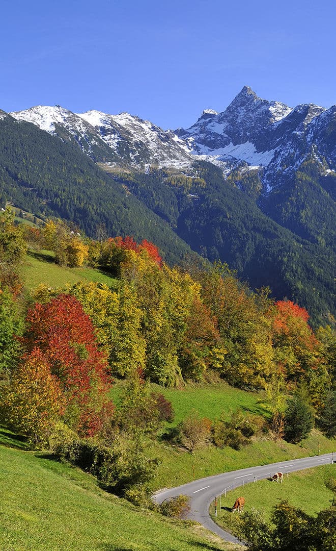 L'Autriche et l'environnement
