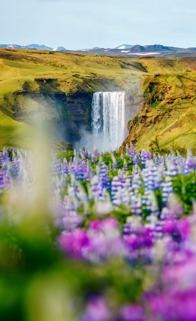 L’Islande et l'environnement