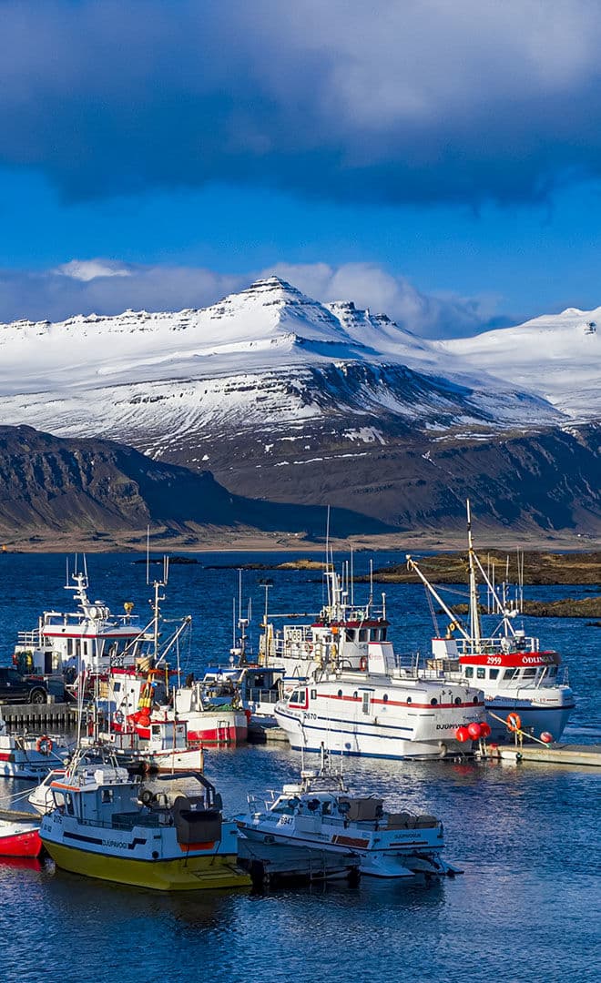 Sjómannadagur