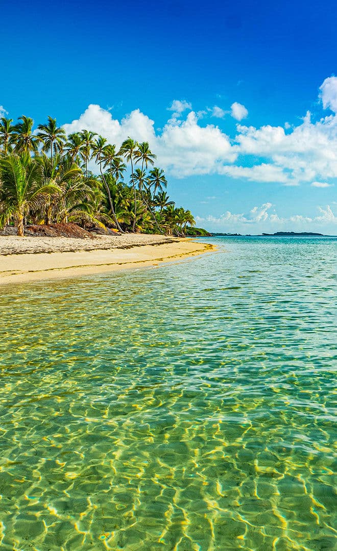 La Martinique et l'environnement