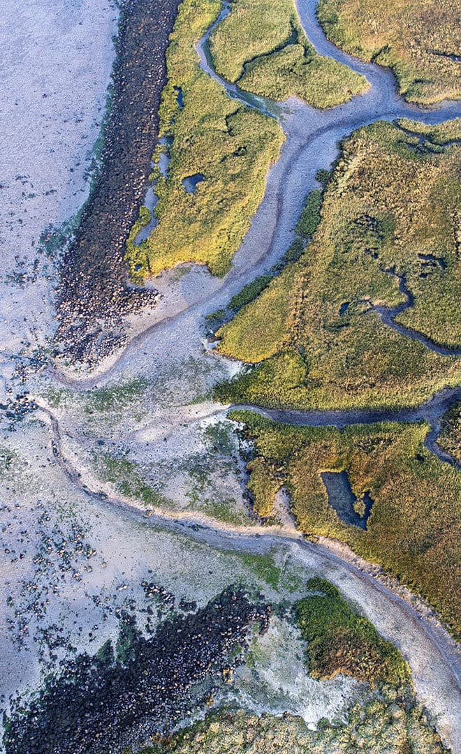 Les Pays-Bas et l'environnement