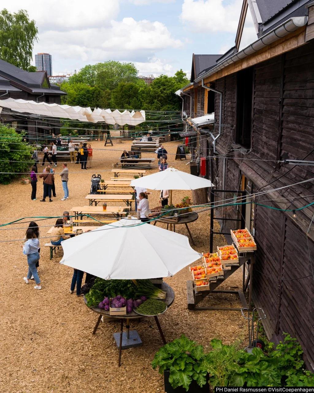 copenpay decouvrir copenhague par la table et lengagement