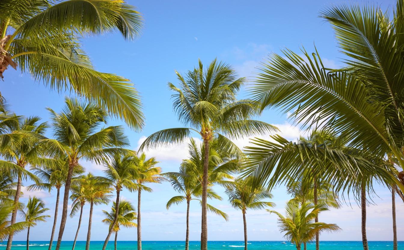 resorts-adultes-mexique-concept-enchanteur