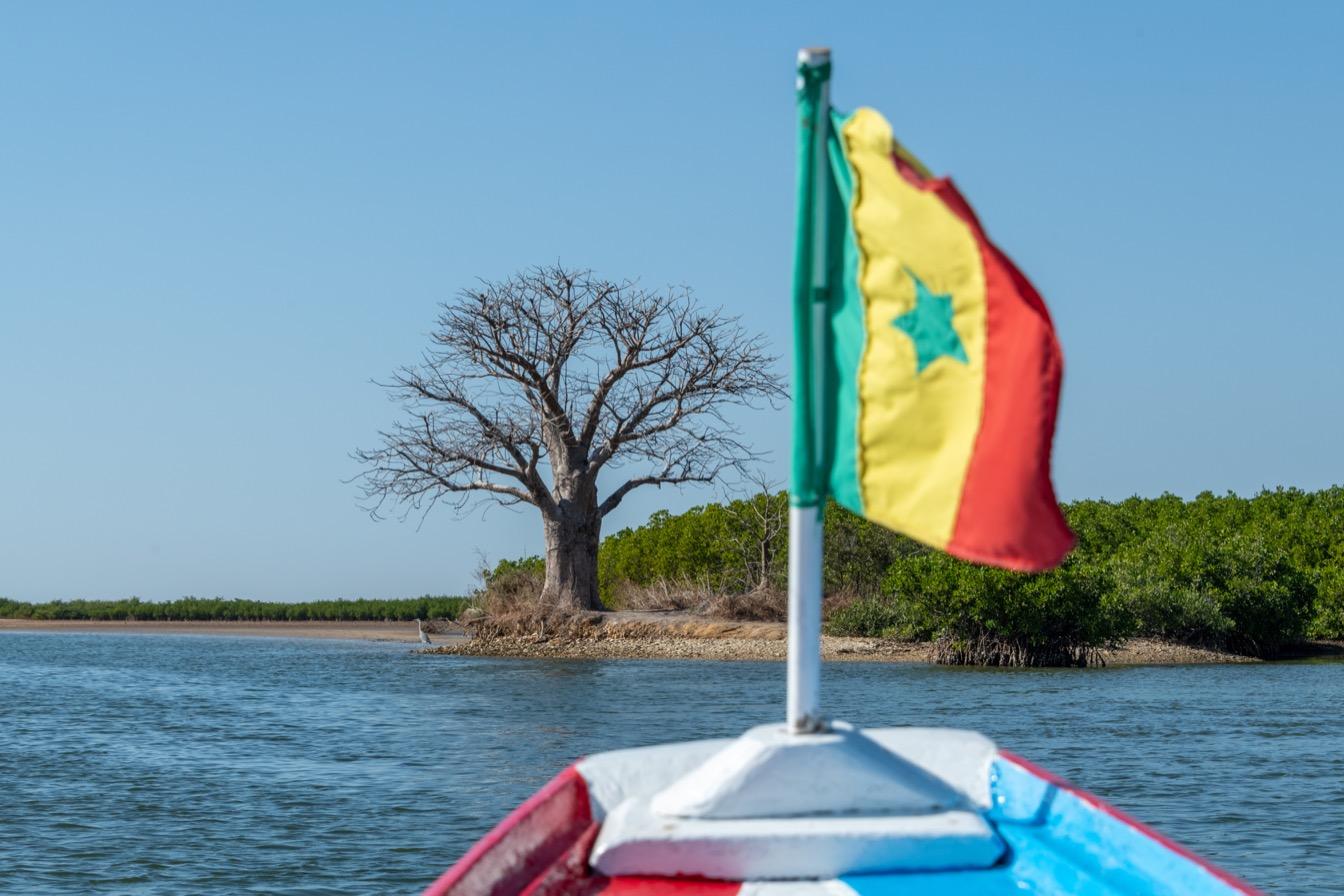 explorer delta activites ecotourisme