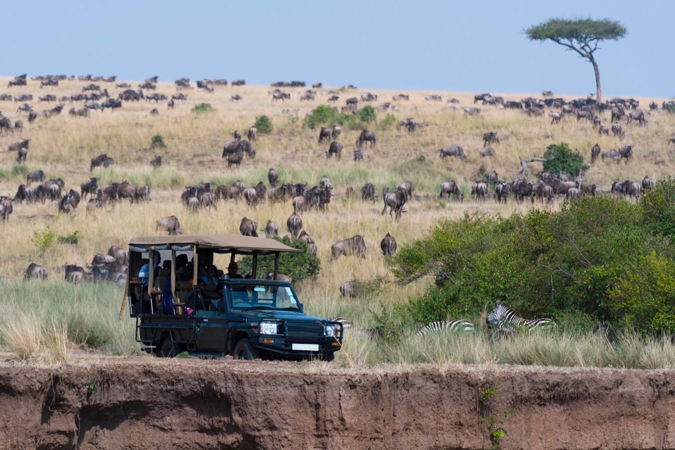 safari-ethique-immersion-sauvage