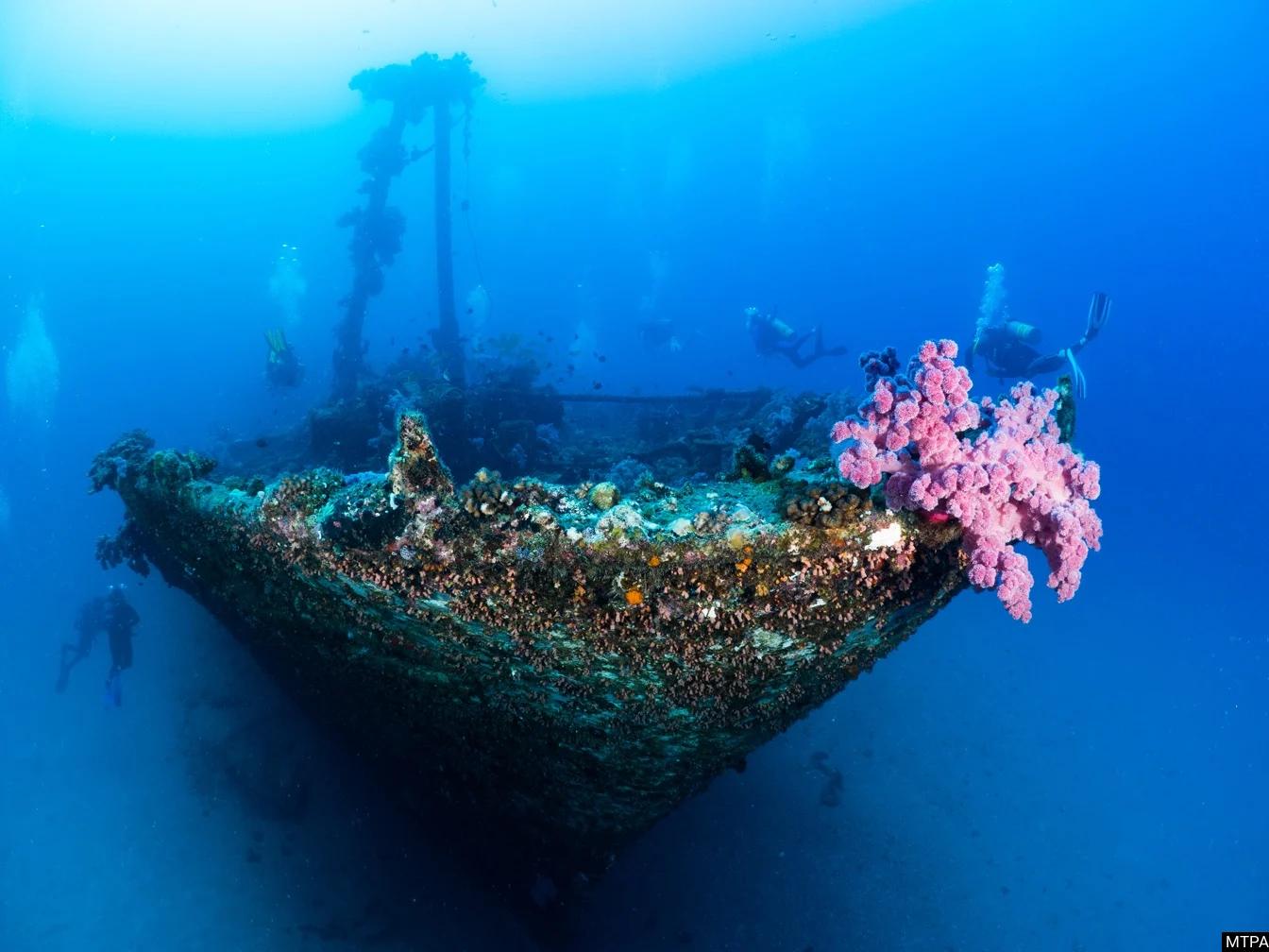 plongee-sous-marine-epaves-recifs