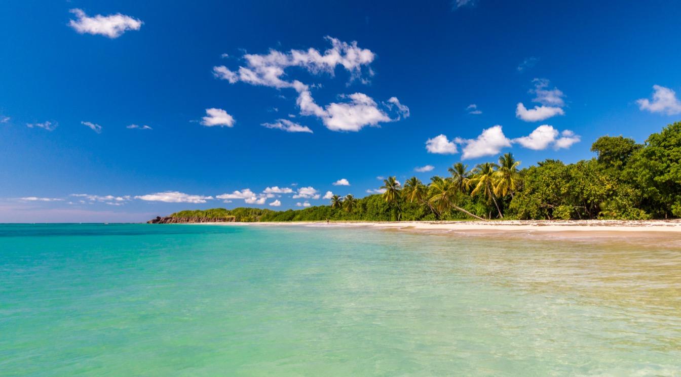 sud-martinique-paradis-sable-blanc